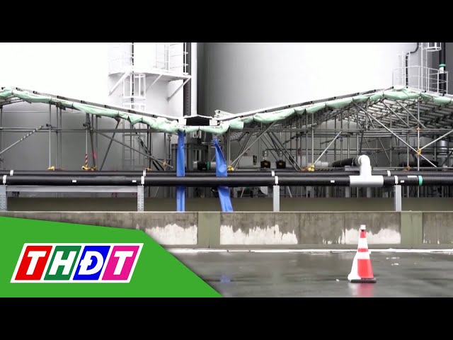 ⁣Nhật  Bản xả thải đợt thứ 5 từ Nhà máy Fukushima | THDT