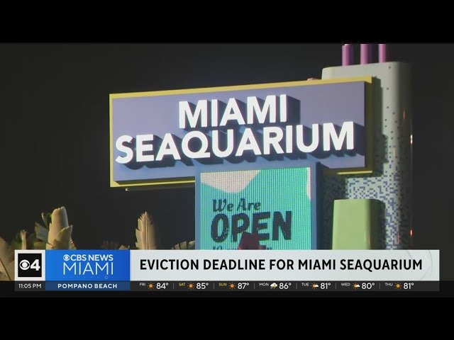 ⁣Miami Seaquarium owner files federal lawsuit against Miami-Dade County
