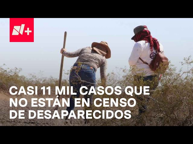 Actualización de censo de personas desaparecidas dejó a casi 11 mil sin ser ubicados - En Punto