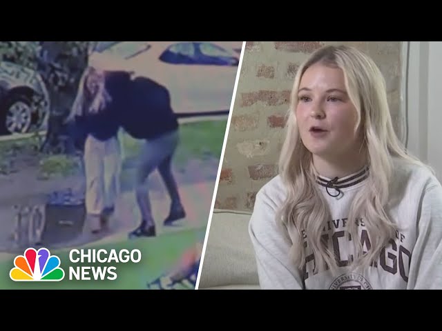 Chicago student robbed at GUNPOINT in broad daylight FIGHTS BACK against attacker