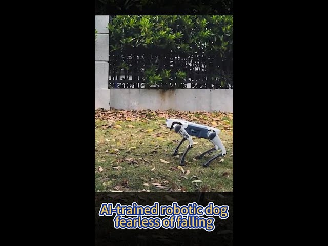 ⁣AI-trained robotic dog that can't be knocked over