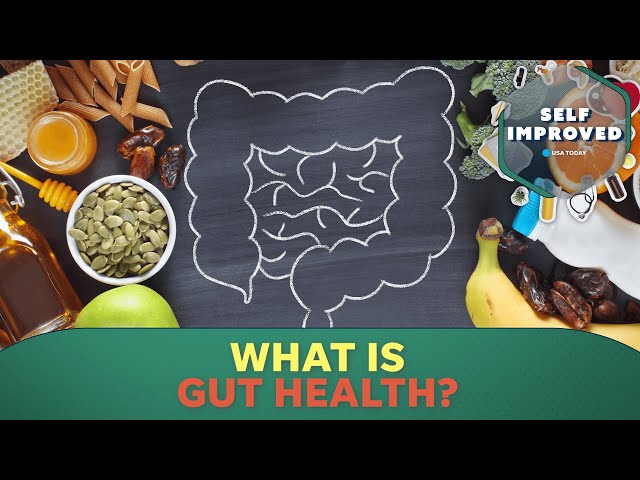 ⁣Here's why the gut is an essential part of a healthy lifestyle | SELF IMPROVED