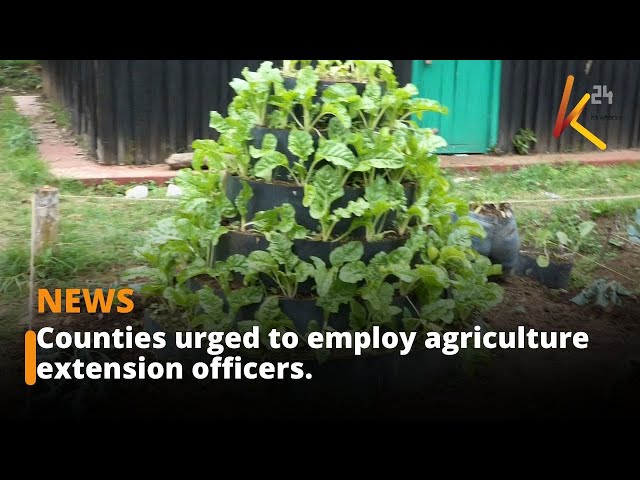 ⁣Counties urged to employ agriculture extension officers.