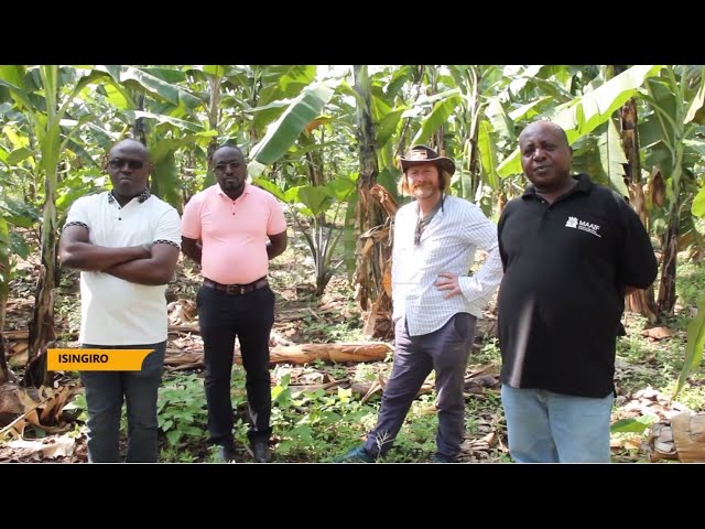 Farmers in Isingiro district are excited about the polyculture project