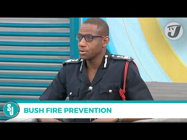 ⁣Bush Fire Prevention with Deptuty Comm. Sean Orlando Martin | TVJ Smile Jamaica