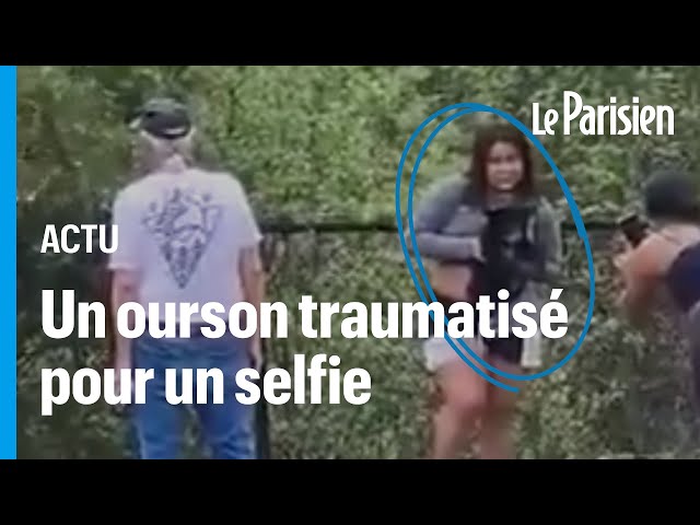 ⁣États-Unis : des touristes arrachent un ourson d’un arbre pour prendre un selfie