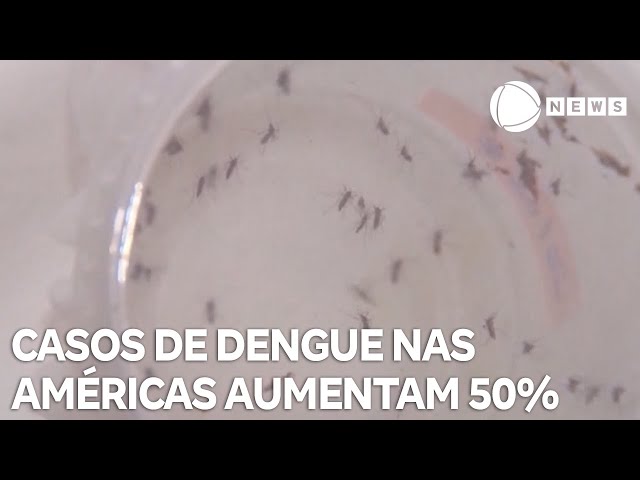 ⁣Casos de dengue aumentam em mais de 50% nas Américas