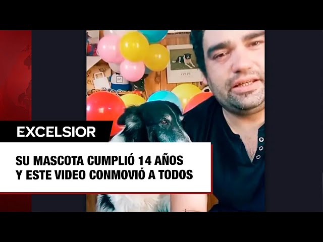 Su mascota cumplió 14 años y este video conmovió a todos