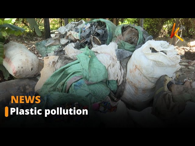 At least 19 million tons of plastic end up in the environment every year globally