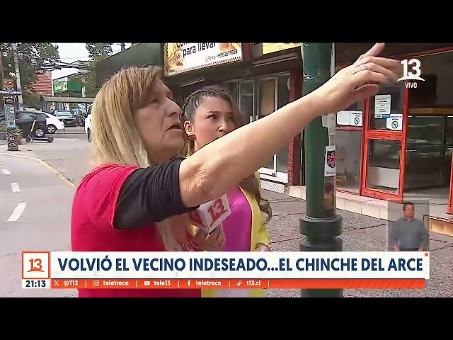 Volvió el vecino indeseado: El chiche del arce