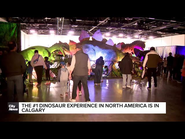 The #1 dinosaur experience in North America is in Calgary