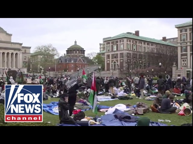 ⁣'LIBERATED ZONE': Columbia students hold Gaza protest on campus lawn