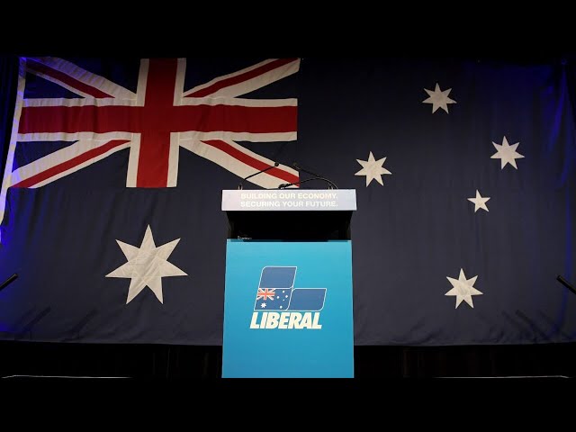 Media ‘loves’ anything marking the ‘end’ of the Liberal Party: Murray