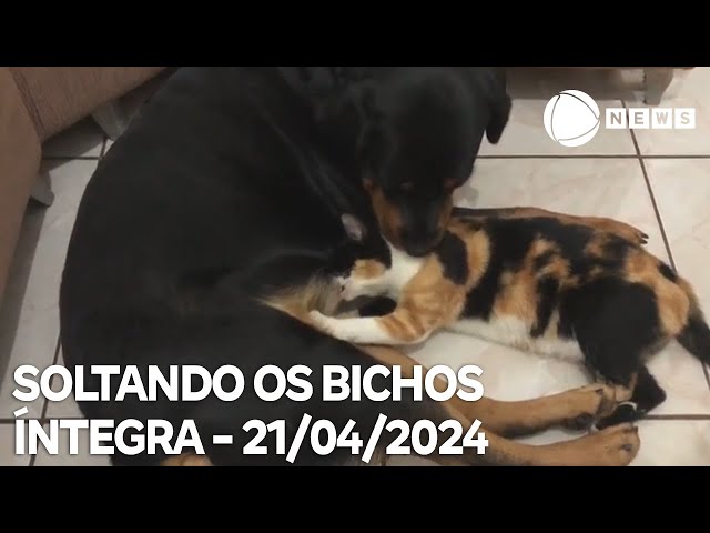 Soltando os Bichos - 21/04/2024