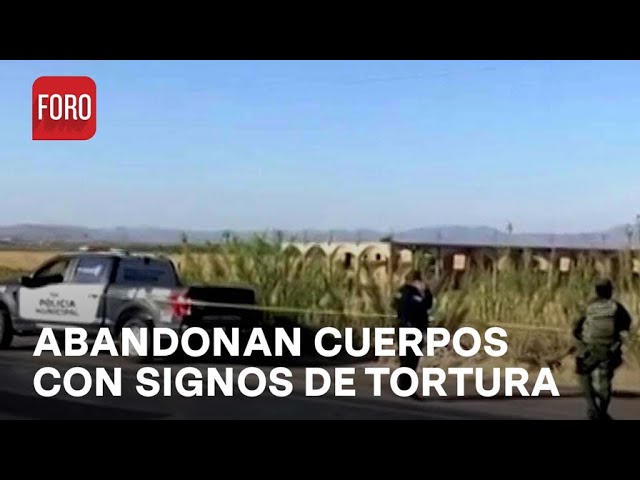 Hallan cuerpos con signos de tortura en la carretera Chihuahua-Ciudad Juárez - Las Noticias