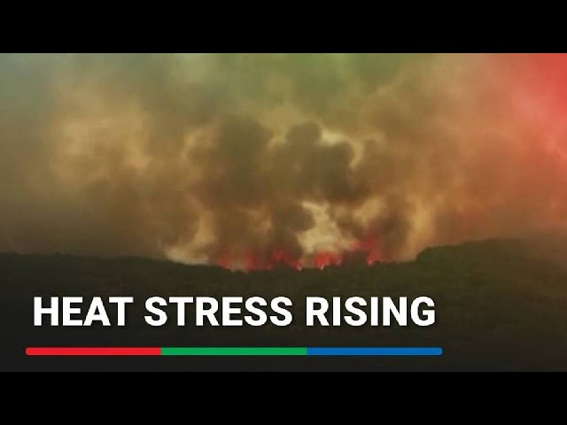 ⁣Health-harming heat stress rising in Europe, scientists say | ABS-CBN News