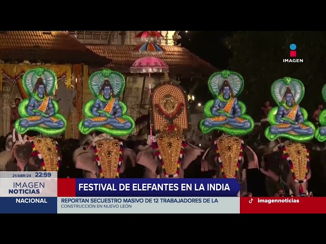 ⁣Así se vivió el Festival del Elefante en Jaipur, Rajastán, India | Imagen Noticias Fin de Semana