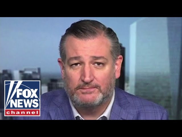 ⁣Ted Cruz: The Democratic Party has turned 'horrid anti-Israel'