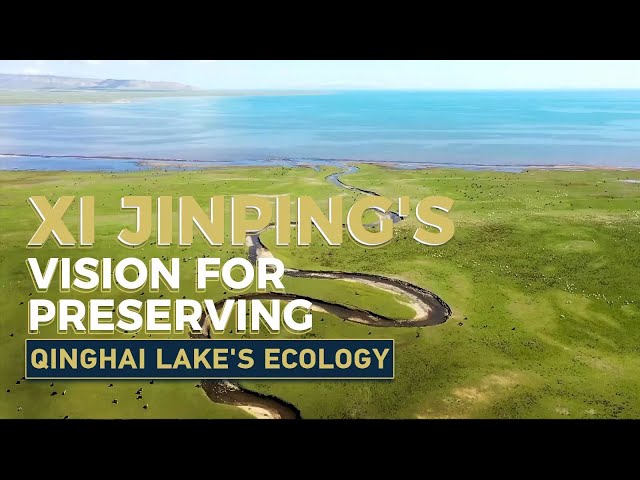 ⁣Xi Jinping's vision for preserving Qinghai Lake's ecology