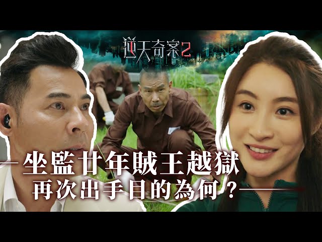 逆天奇案2｜第16集加長版精華｜坐監廿年賊王越獄再次出手目的為何？ #逆天奇案2 #林夏薇 #黃智賢