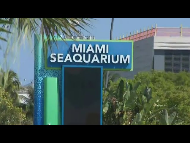 Miami Seaquarium defied eviction, remained open Sunday