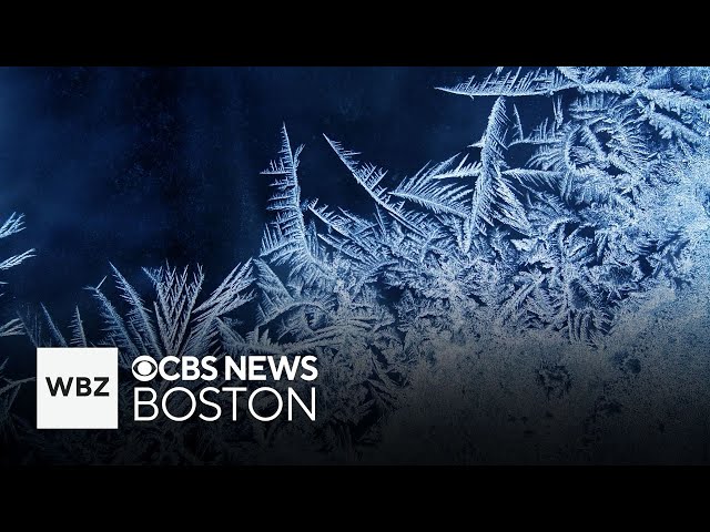 Talk climate change, the frosty forecast and this week's meteor shower with Boston meteorologis