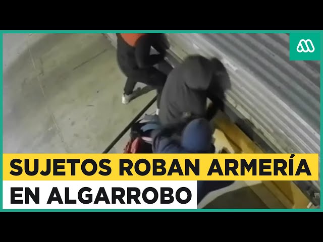 Delincuentes roban armería en Algarrobo: Lograron sustraer armamento de aire comprimido