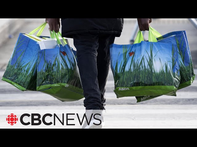 Reusable bags are piling up in landfills. Who should fix it?