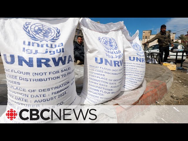 Independent review of UNRWA says Israel has yet to provide evidence of Hamas links