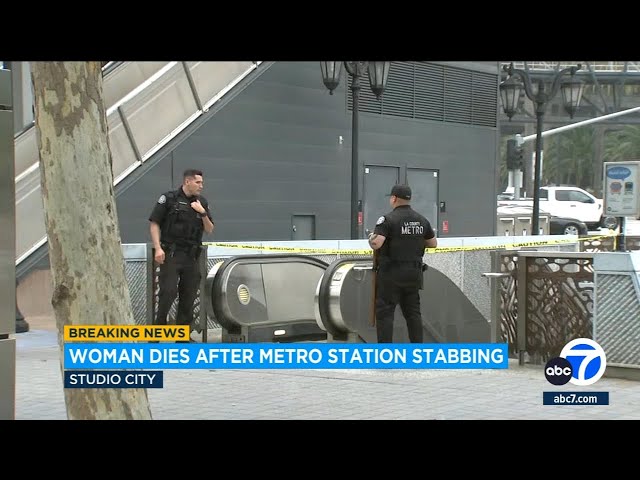 ⁣Woman dies after being stabbed in neck on Metro train