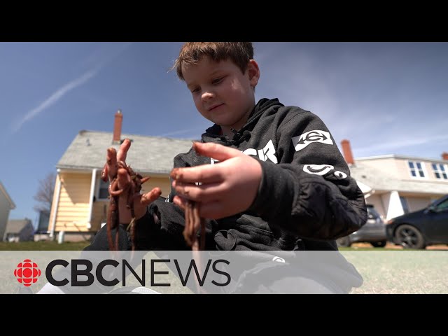 These P.E.I. kids started up worm businesses — and their customers are hooked