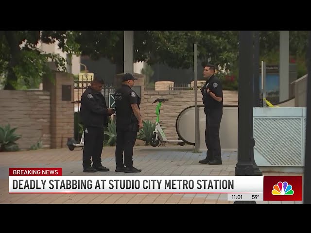 Woman killed in stabbing on Metro train