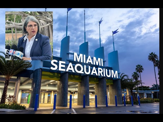 Alcaldesa del condado de Miami-Dade envía aviso de desalojo a los propietarios del Miami Seaquarium