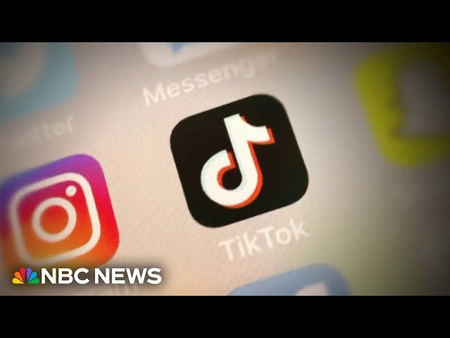 ⁣TikTok faces potential ban in bill expected to pass in Senate