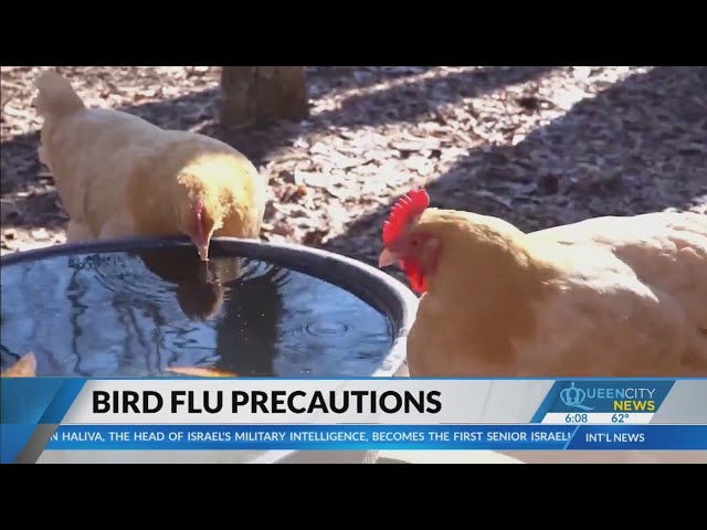 ⁣Farmers make adjustments amid bird flu concerns