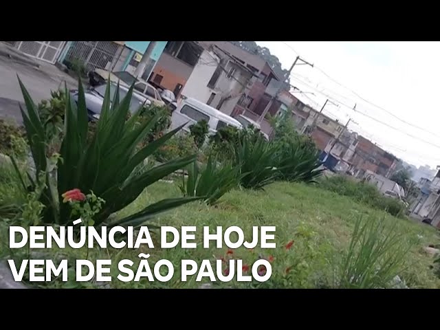 Record News contra a dengue: denúncia de hoje vem da zona oeste de São Paulo