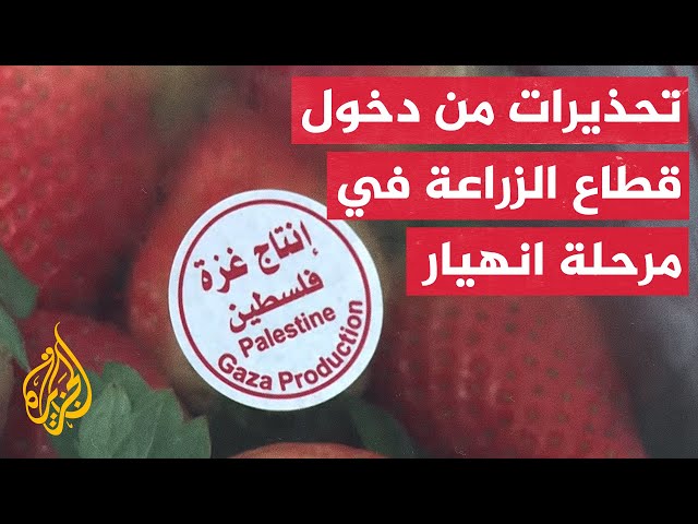 ⁣الاحتلال يدمر 95% من قطاع الزراعة في غزة لتعزيز انعدم الأمن الغذائي