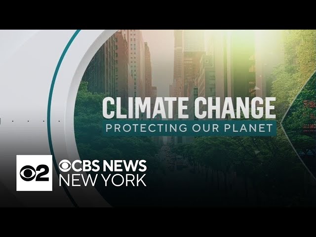 Climate Change: Protecting our Planet