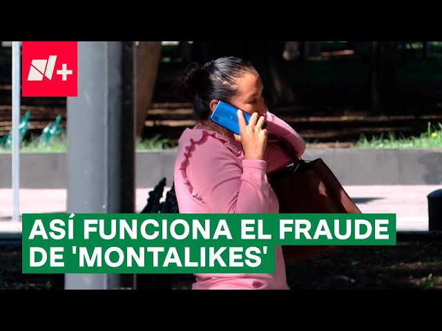⁣Montalikes': Detectan falsas ofertas de trabajo a nombre de Televisa - N+