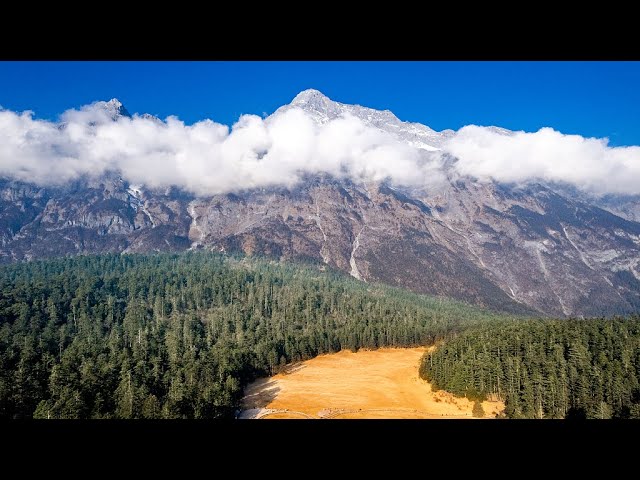 ⁣Live: Enjoy views of sacred Yulong Snow Mountain in spruce forest