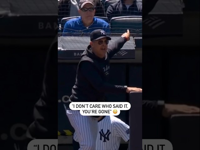 Yankees Manager Gets Tossed When A Fan Yells At The Ump 