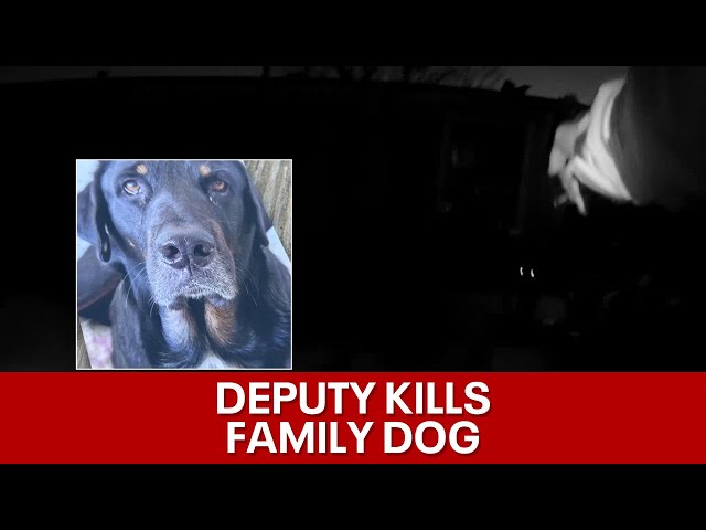 Kaufman County sheriff's deputy shoots family dog while responding to 911 call
