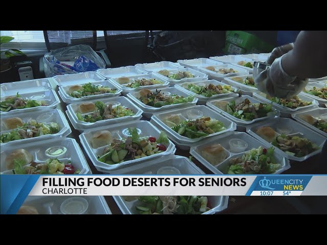 Non-profit serves senior adults in food desert