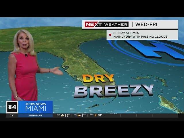 Miami weather for Monday 4/22/24 11PM