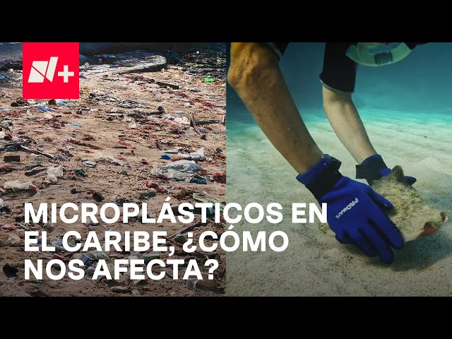 ¿Cuál es el impacto de los microplásticos en los océanos? - En Punto