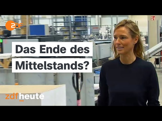⁣Familienunternehmen unter Druck: Droht Deutschland die Deindustrialisierung? | Berlin direkt