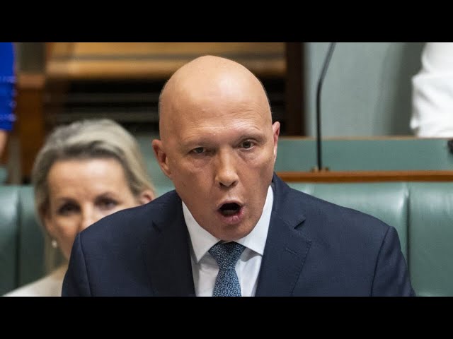 ⁣Peter Dutton ‘gained ground’ on Albanese over federal budget issue