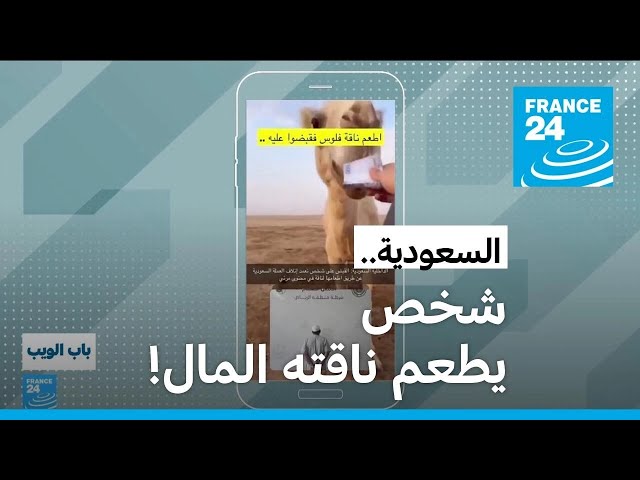 ⁣السعودية.. شخص يطعم ناقته المال! • فرانس 24 / FRANCE 24