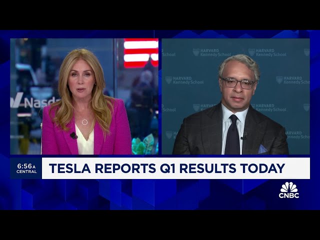 The fact that Elon Musk was right about EVs doesn't mean he's going to be right now: Gauta