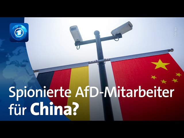 Spionierte AfD-Mitarbeiter für China?